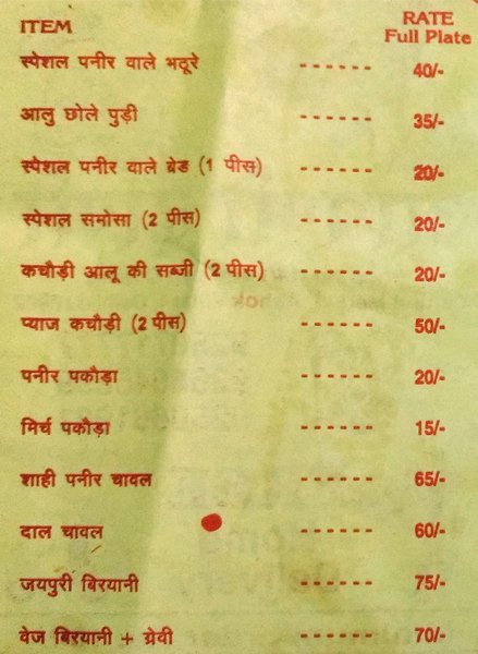 Aapni Dhani - Ashok Vihar Phase 1 - Delhi NCR image 4