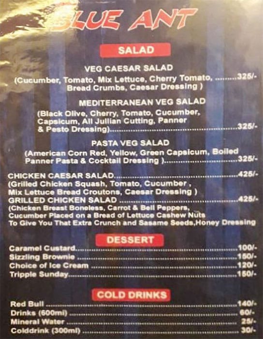 Blue Ant - Airoli - Navi Mumbai image 1