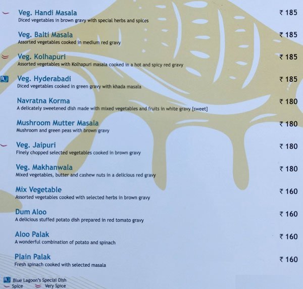 Blue Lagoon - Akota - Vadodara image 13