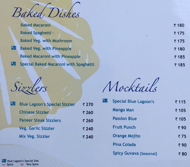 Blue Lagoon - Akota - Vadodara image 15