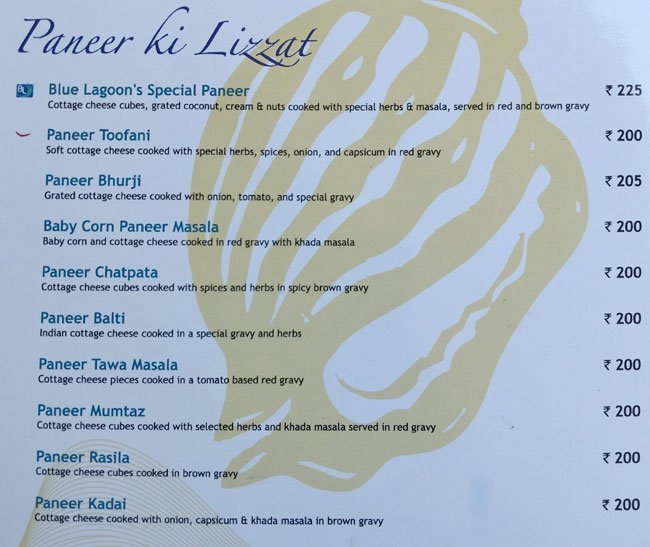 Blue Lagoon - Akota - Vadodara image 12