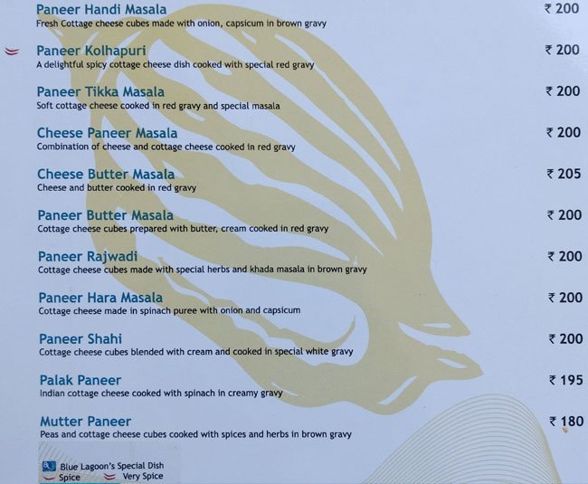 Blue Lagoon - Akota - Vadodara image 11