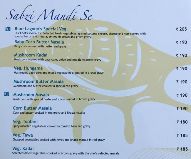 Blue Lagoon - Akota - Vadodara image 14