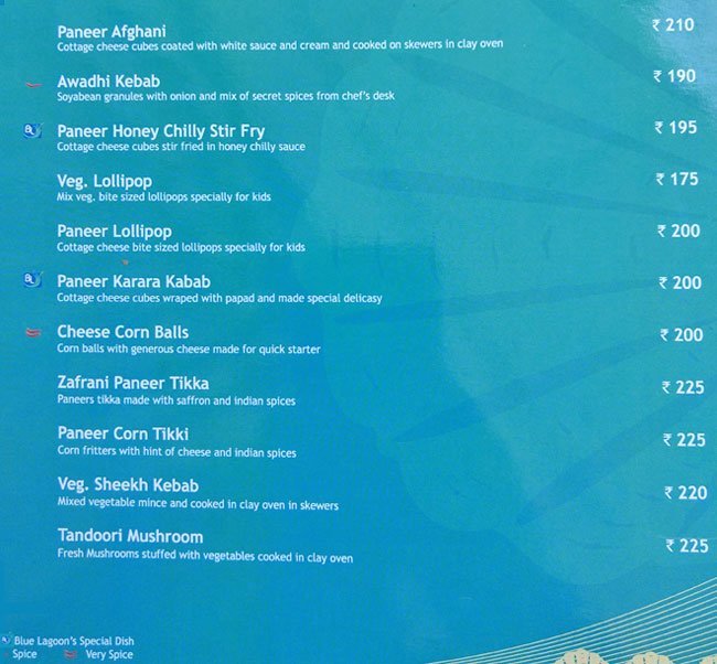 Blue Lagoon - Akota - Vadodara image 17