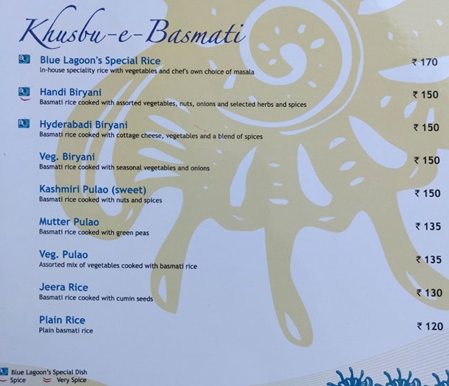 Blue Lagoon - Akota - Vadodara image 7