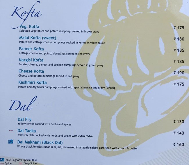 Blue Lagoon - Akota - Vadodara image 9