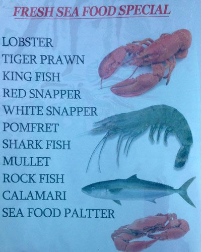 Chop Stick - Arambol - Goa image 2