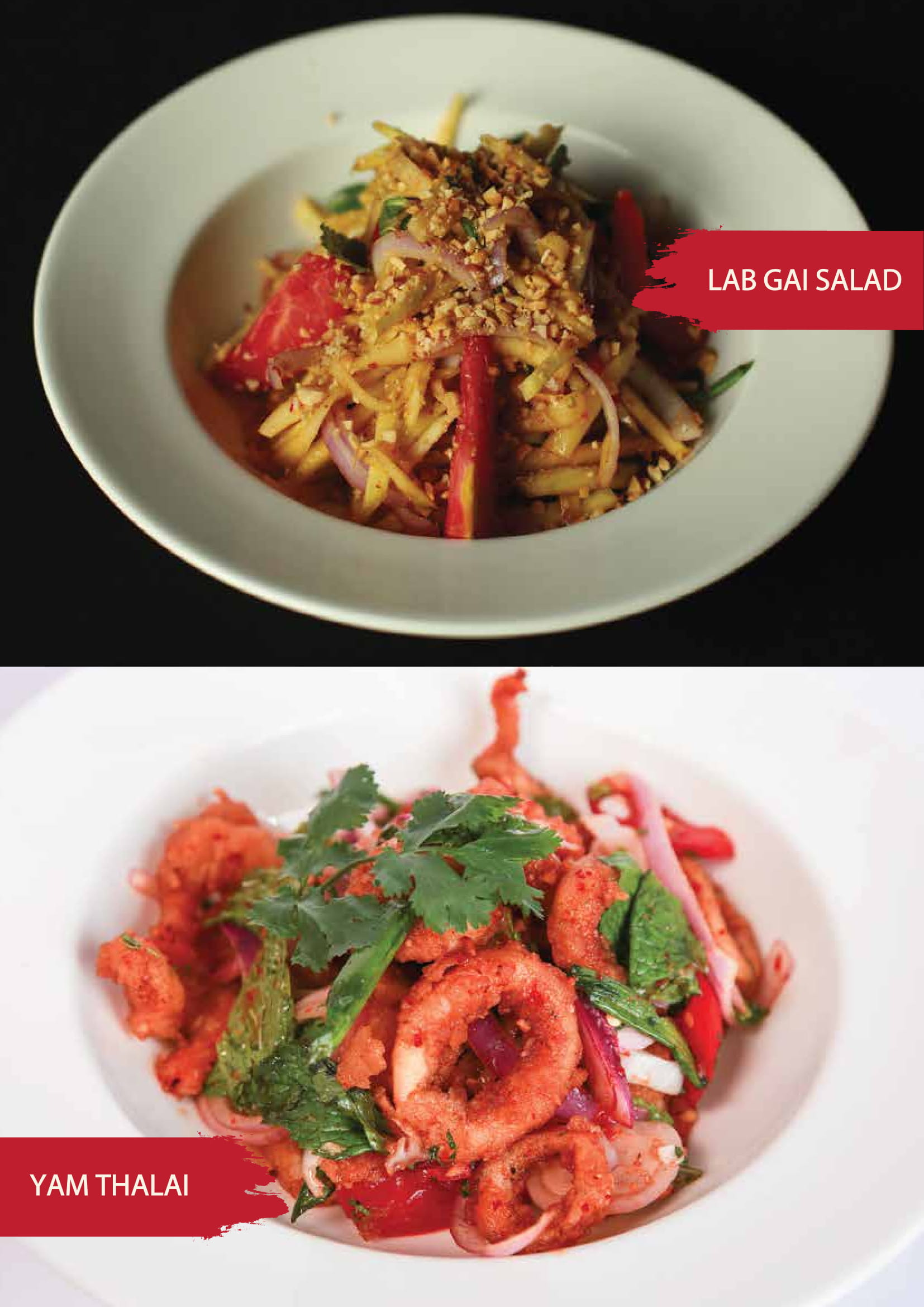 Cibo - Velachery - Chennai image 27