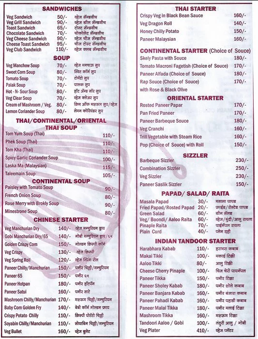 Damroo Pure Veg Family Restaurant - Kondhwa - Pune image 1