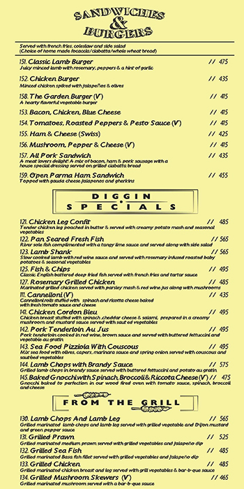 Diggin - Chanakyapuri - New Delhi image 6