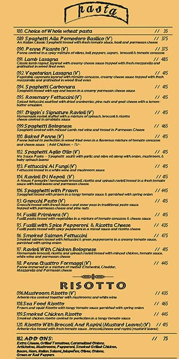 Diggin - Chanakyapuri - New Delhi image 8