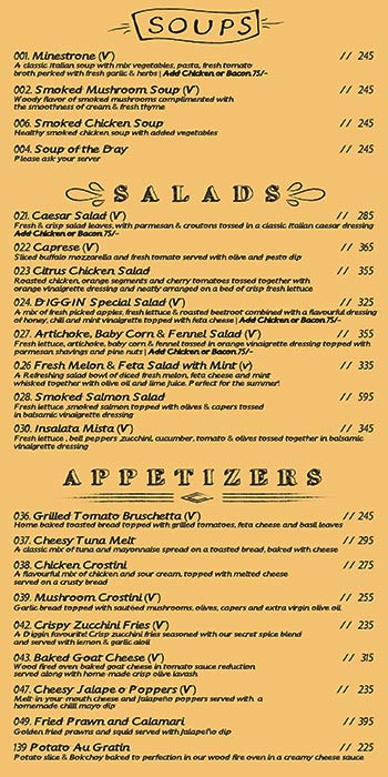 Diggin - Chanakyapuri - New Delhi image 1