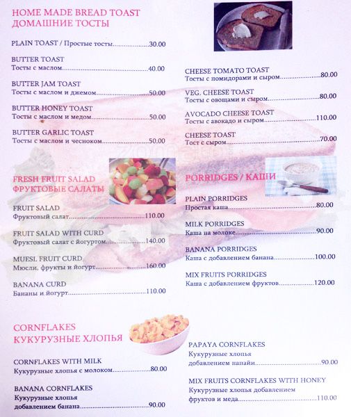 Gecko - Arambol Beach - Arambol - Goa image 9