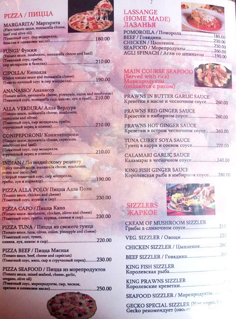 Gecko - Arambol Beach - Arambol - Goa image 8