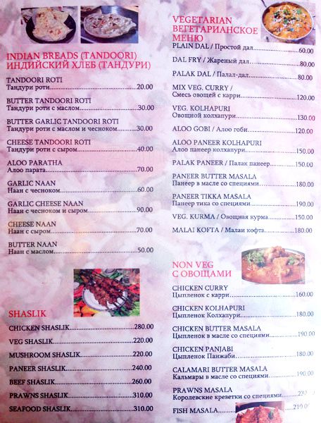 Gecko - Arambol Beach - Arambol - Goa image 7