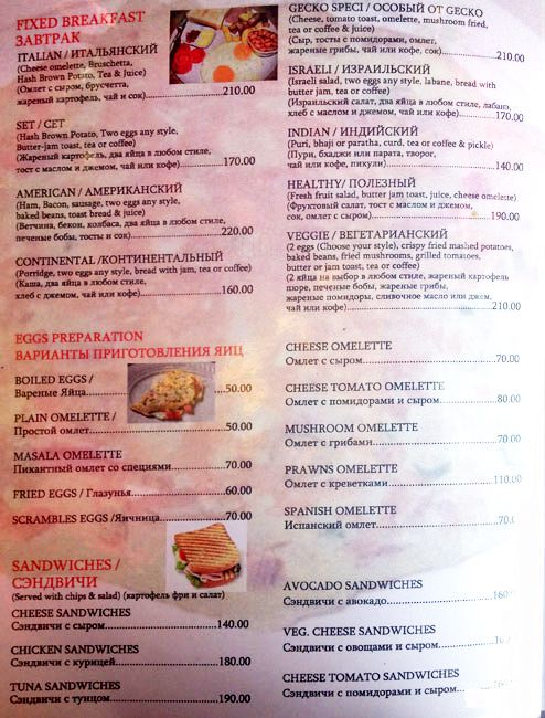 Gecko - Arambol Beach - Arambol - Goa image 10