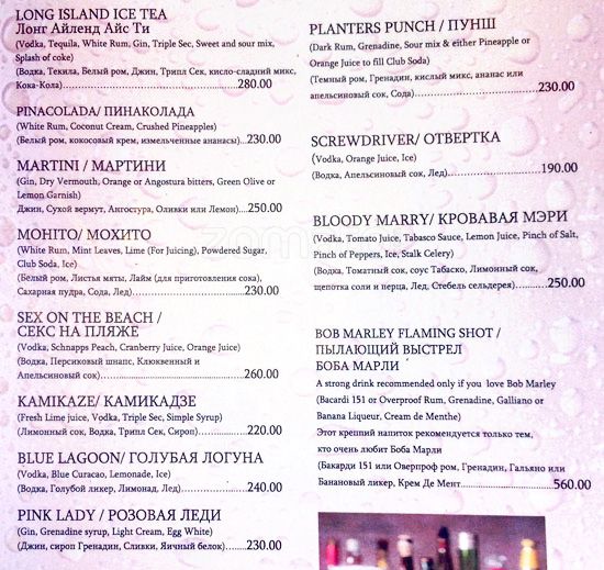 Gecko - Arambol Beach - Arambol - Goa image 1