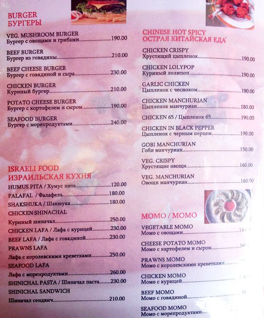 Gecko - Arambol Beach - Arambol - Goa image 5