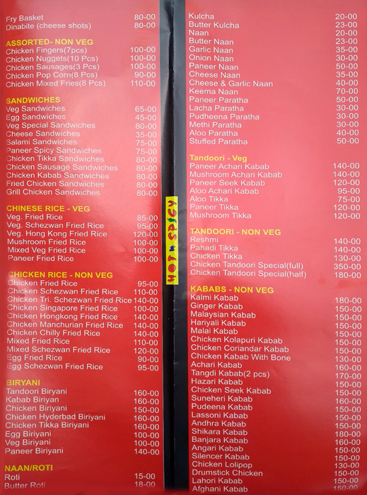 Hot 'n' Spicy - Vidyaratna Nagar - Manipal image 1