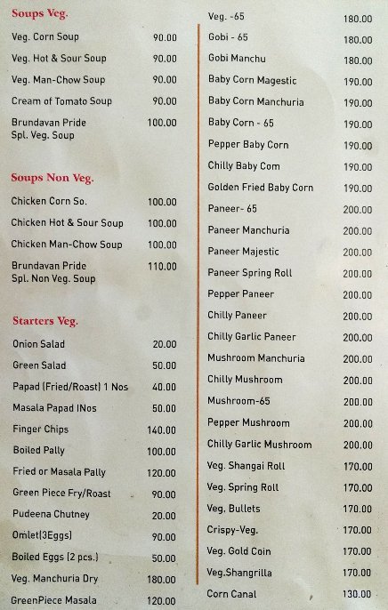 Hotel Brundavan - Dilsukh Nagar - Hyderabad image 3