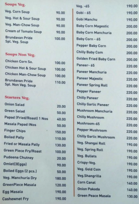 Hotel Brundavan Pride - Dilsukhnagar - Hyderabad image 6