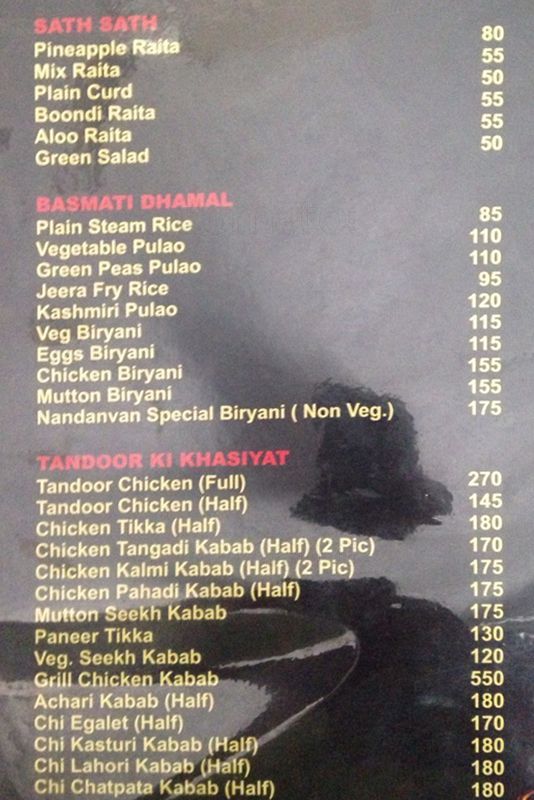 Hotel Nandanvan - MIDC - Aurangabad image 6