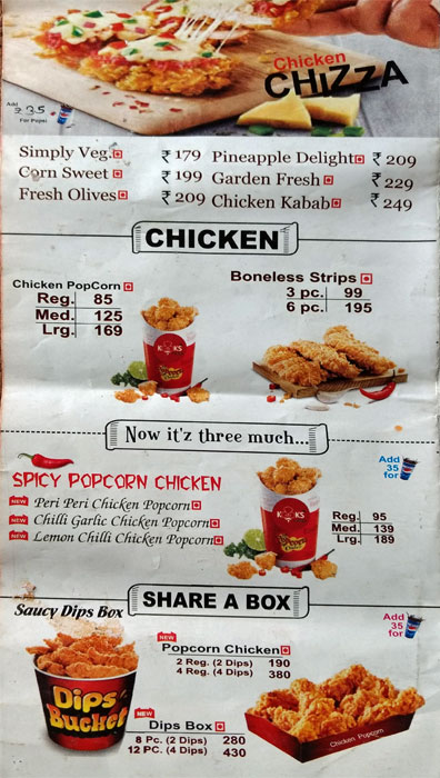 Kooks - Chinar Bagh - Srinagar image 2