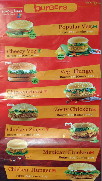 Kooks - Chinar Bagh - Srinagar image 5