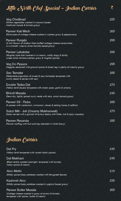 Little North - Kilpauk - Chennai image 16