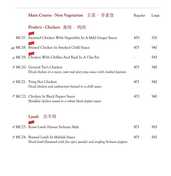 Mainland China - Hitech City - Hyderabad image 19