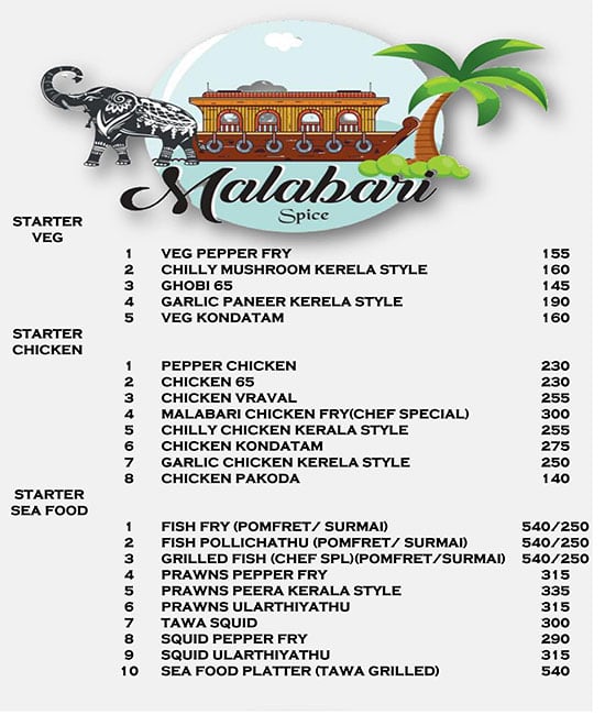 Malabari Spice - Mundhwa - Pune image 1