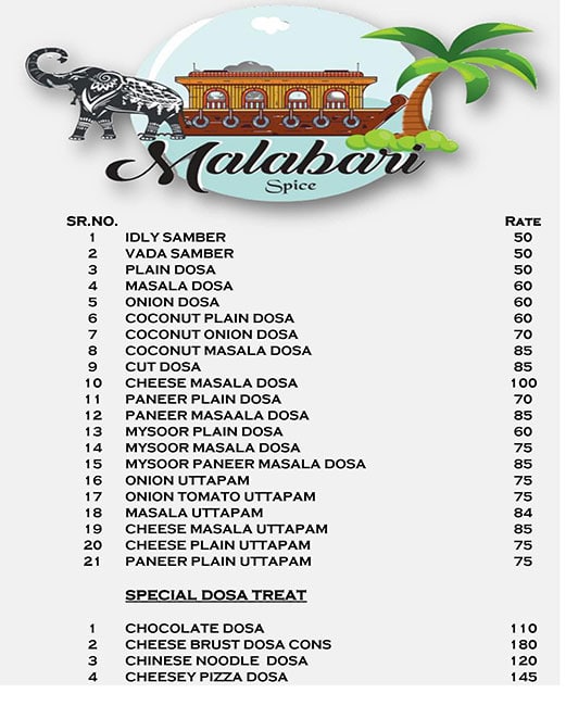 Malabari Spice - Mundhwa - Pune image 2