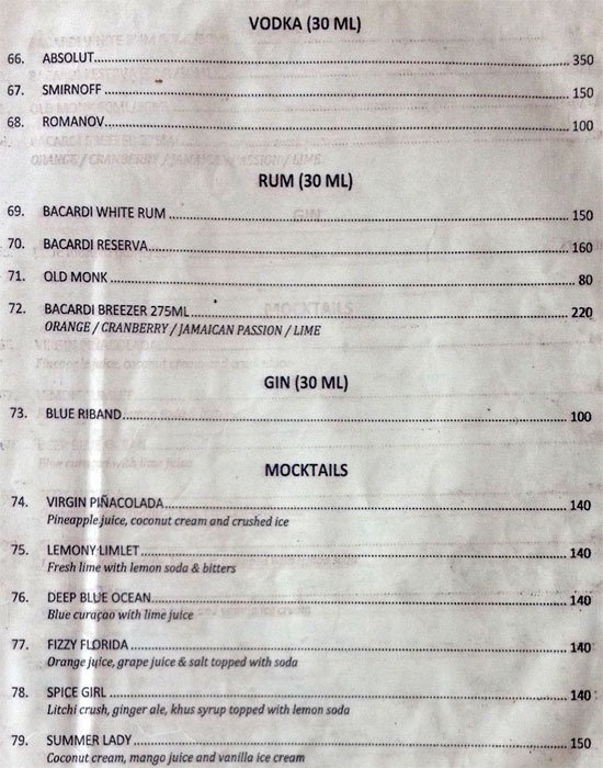 Manas Holiday Resorts - Mulshi - Pune image 2