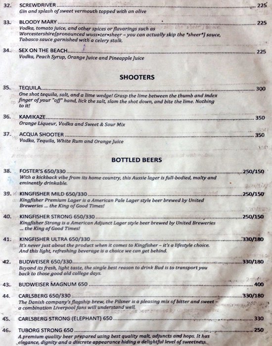 Manas Holiday Resorts - Mulshi - Pune image 4