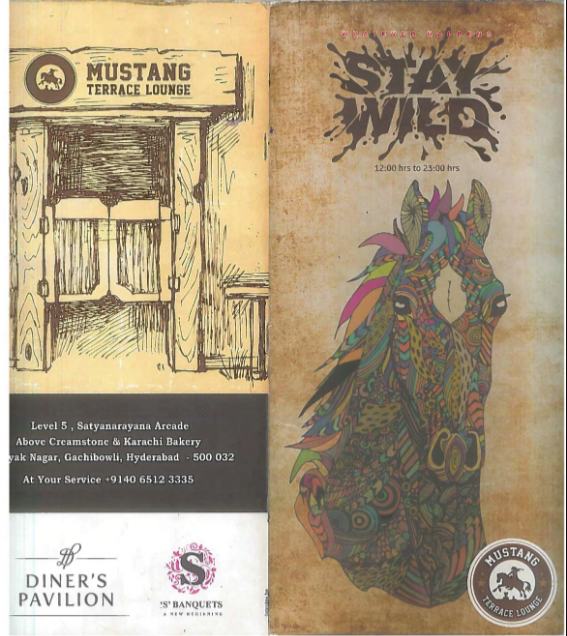 Mustang Terrace Lounge - Gachibowli - Hyderabad image 60