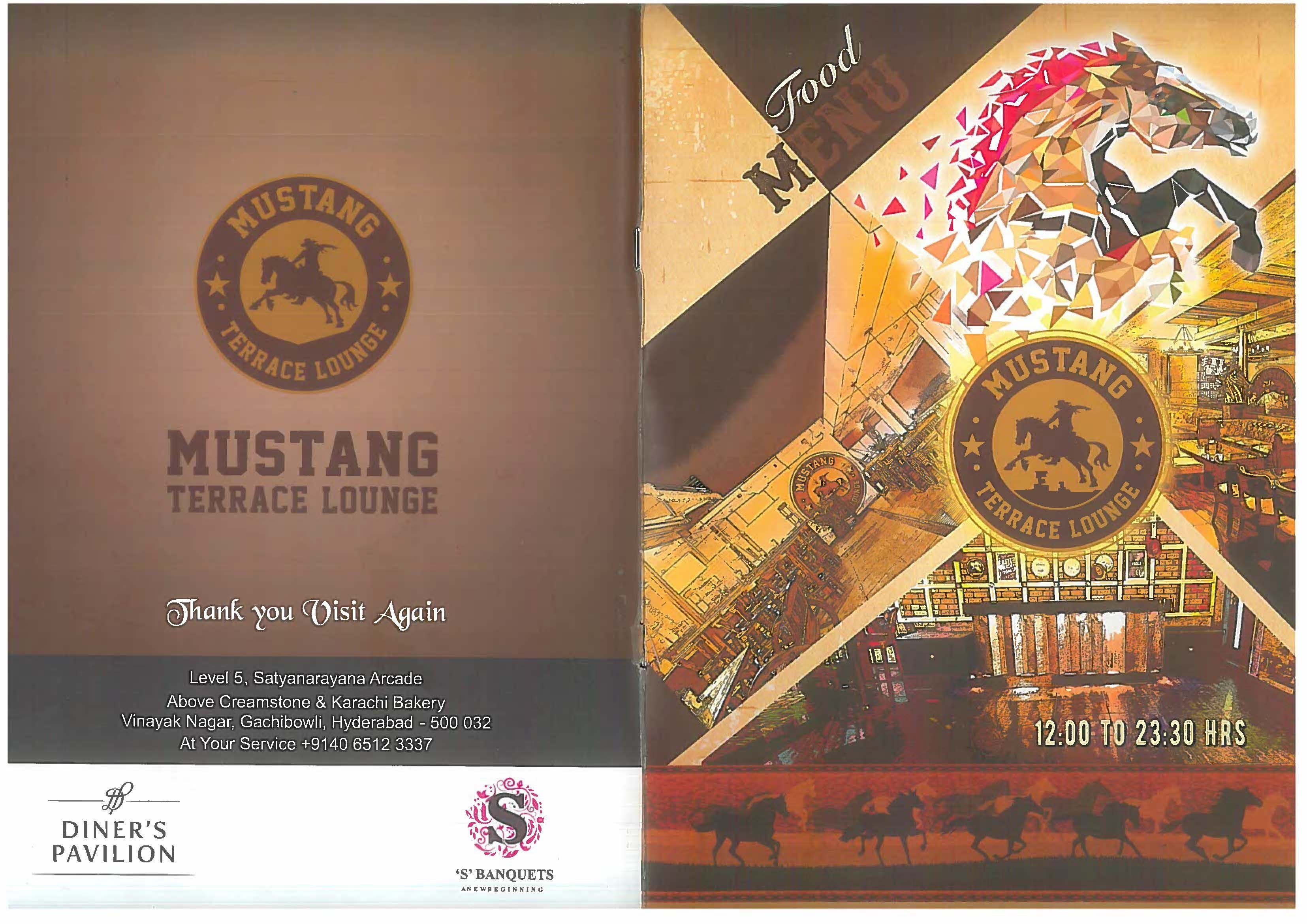Mustang Terrace Lounge - Gachibowli - Hyderabad image 33