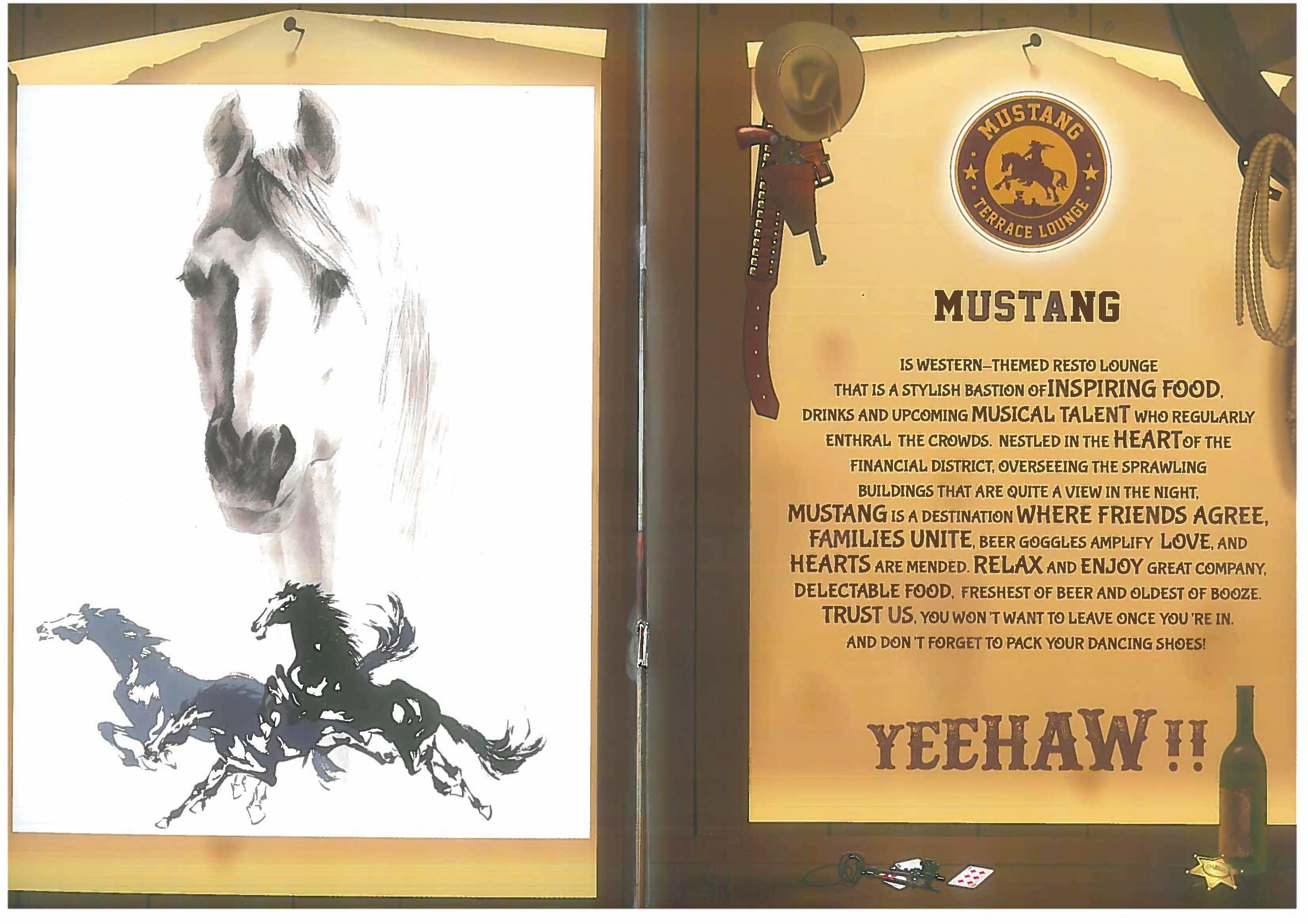 Mustang Terrace Lounge - Gachibowli - Hyderabad image 26