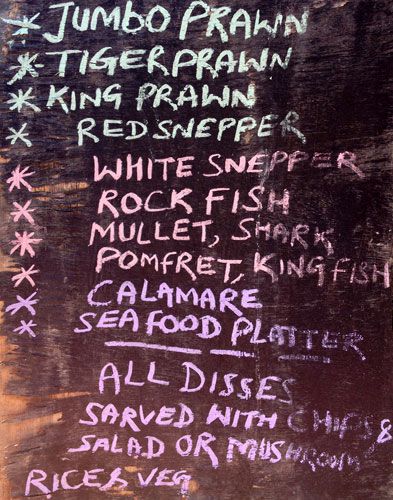 Out Back - Arambol Beach - Arambol - Goa image 5