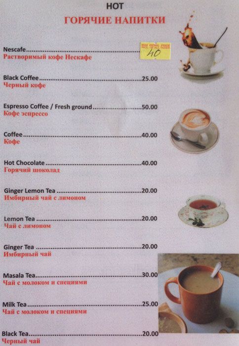 Sea Gull - Morjim Beach - Arambol - Goa image 3