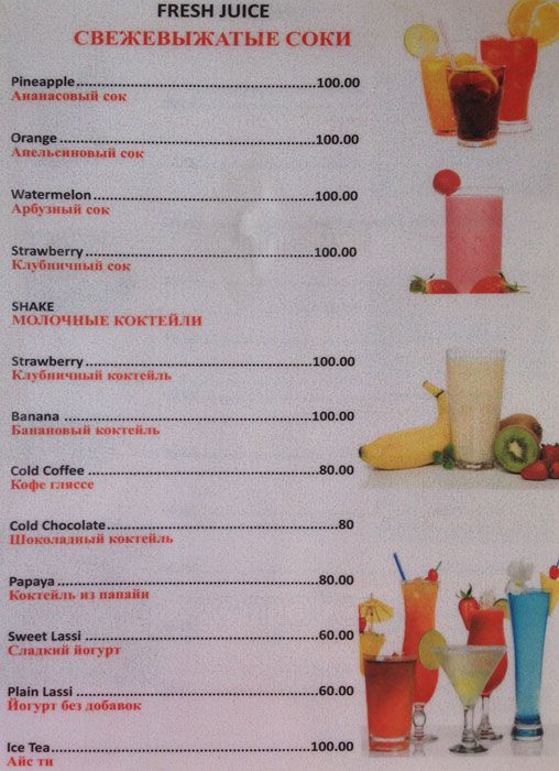 Sea Gull - Morjim Beach - Arambol - Goa image 4