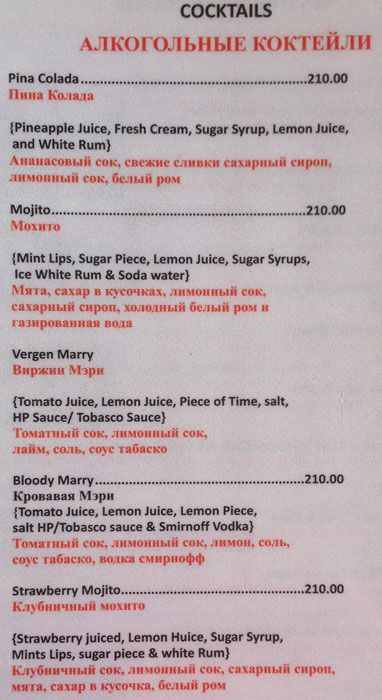 Sea Gull - Morjim Beach - Arambol - Goa image 1