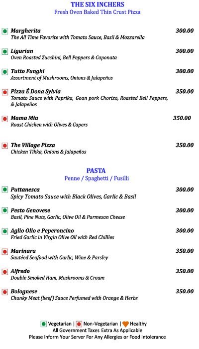 Seagull - Mobor - Goa image 12