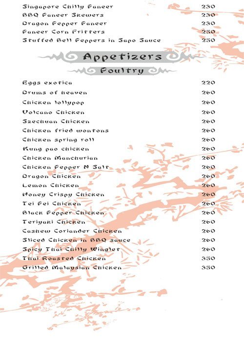 Shanghai Chef 2 - Gachibowli - Hyderabad image 21