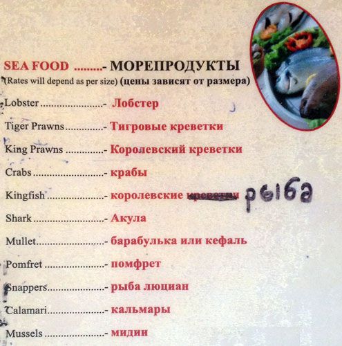 Silent Nook - Betalbatim Beach - Betalbatim - Goa image 11