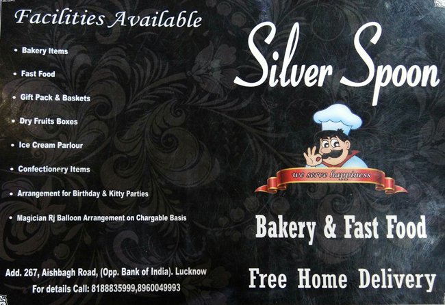 Silver Spoon - Aishbagh - Lucknow image 8