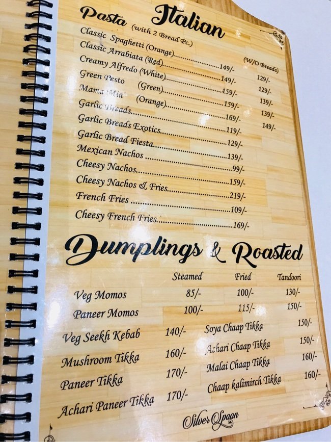 Silver Spoon - Aishbagh - Lucknow image 5