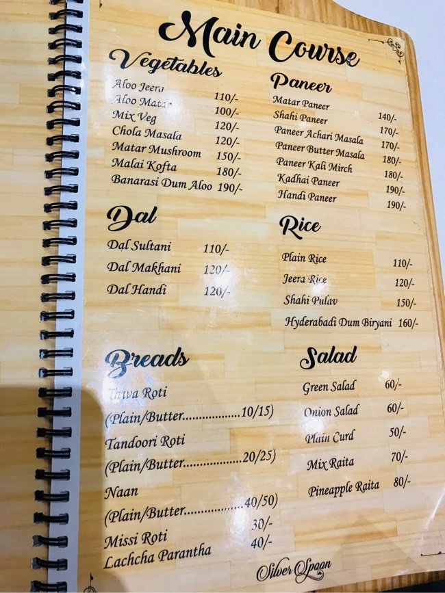 Silver Spoon - Aishbagh - Lucknow image 3