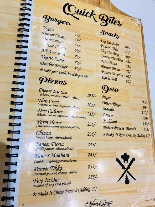 Silver Spoon - Aishbagh - Lucknow image 6