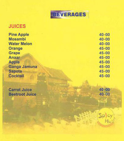 Spicy Hub - Kothapet - Hyderabad image 1