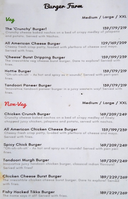 Swynk Hashery : A Multi Cuisine Restaurant - Sector 14 - Gurgaon image 13